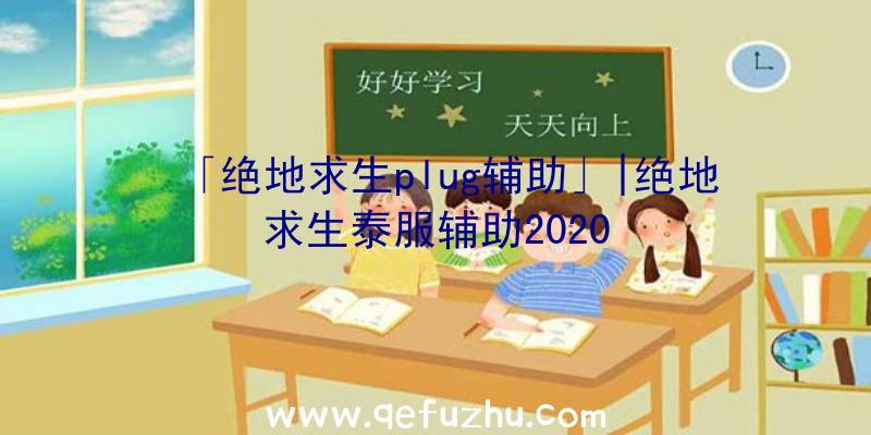 「绝地求生plug辅助」|绝地求生泰服辅助2020